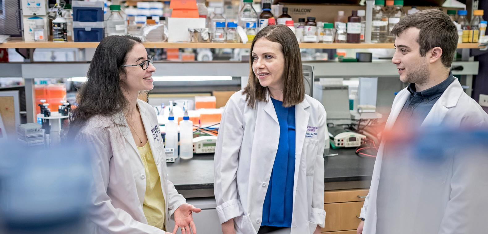 Division of Rheumatology NYU Langone Health